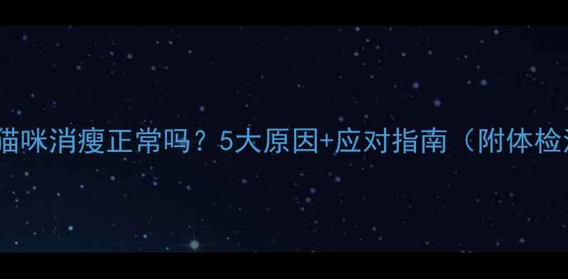 图片 🌟老年猫咪消瘦正常吗？5大原因+应对指南（附体检清单）2