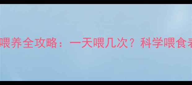 图片 🌟边牧6个月喂养全攻略：一天喂几次？科学喂食表+注意事项2