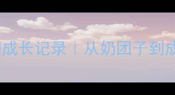 图片 🌟金毛寻回犬全生命周期成长记录｜从奶团子到成年犬的360°蜕变指南💫