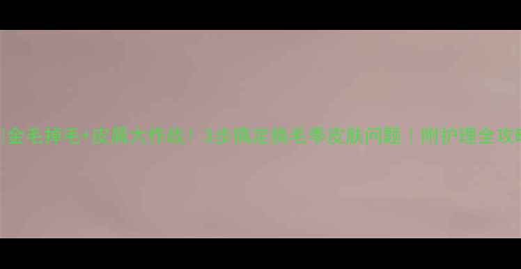 图片 🌟金毛掉毛+皮屑大作战！3步搞定换毛季皮肤问题｜附护理全攻略