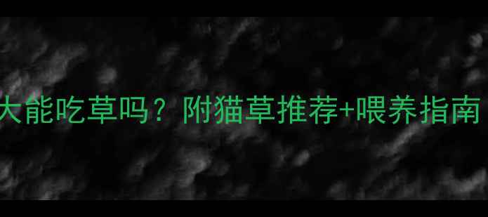 图片 🌱幼猫1-3月大能吃草吗？附猫草推荐+喂养指南（附实拍图）