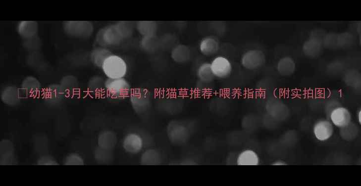 图片 🌱幼猫1-3月大能吃草吗？附猫草推荐+喂养指南（附实拍图）1