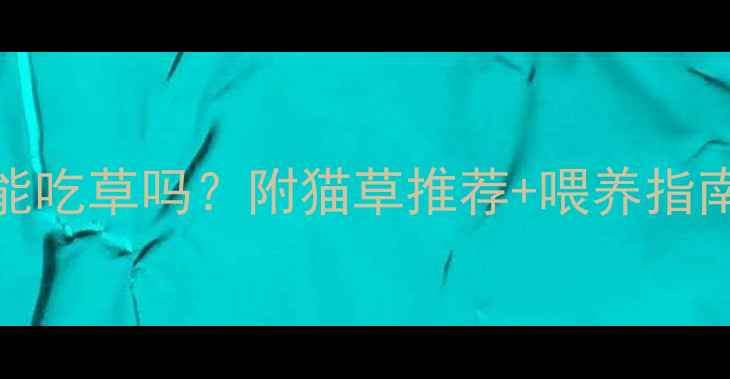 图片 🌱幼猫1-3月大能吃草吗？附猫草推荐+喂养指南（附实拍图）2