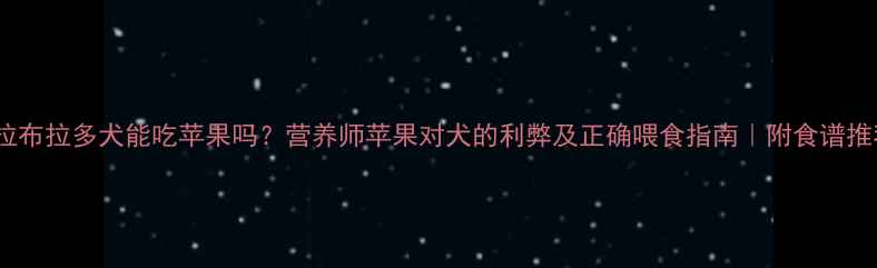 图片 🍎拉布拉多犬能吃苹果吗？营养师苹果对犬的利弊及正确喂食指南｜附食谱推荐2