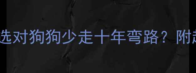 图片 🎯金毛VS比熊！选对狗狗少走十年弯路？附超全对比攻略🐾1