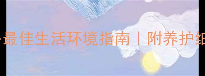 图片 🏠新手必看！拉布拉多最佳生活环境指南｜附养护细节（附高清实拍图）1