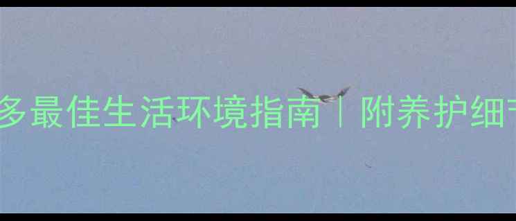 图片 🏠新手必看！拉布拉多最佳生活环境指南｜附养护细节（附高清实拍图）2