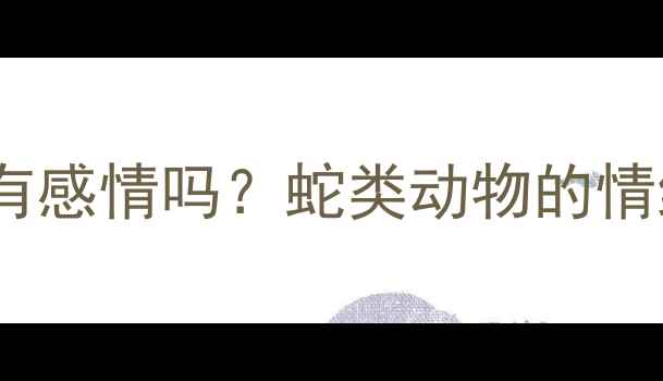图片 🐍🔍宠物蛇真的会有感情吗？蛇类动物的情绪密码和饲养真相2