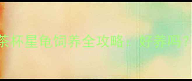 图片 🐢新手必看！茶杯星龟饲养全攻略：好养吗？5大关键点🐾1