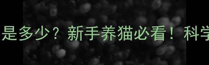 图片 🐱7个月大猫咪体重标准是多少？新手养猫必看！科学喂养指南+体重管理表1