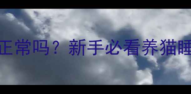 图片 🐱两个月大猫咪总睡觉正常吗？新手必看养猫睡眠指南（附护理要点）