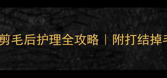 图片 🐱剪完毛后必看！猫咪剪毛后护理全攻略｜附打结掉毛皮肤问题急救指南✨1