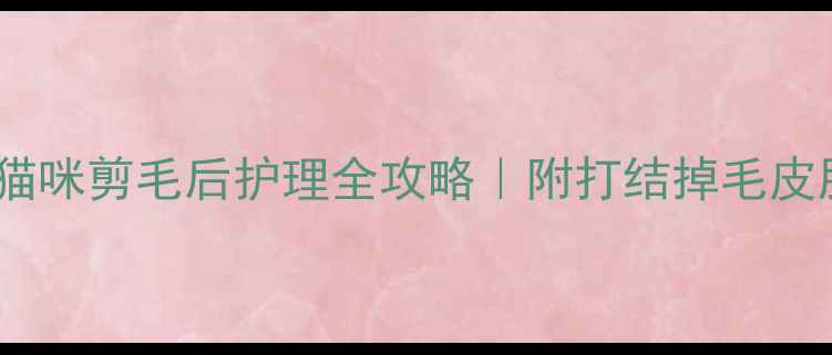 图片 🐱剪完毛后必看！猫咪剪毛后护理全攻略｜附打结掉毛皮肤问题急救指南✨2