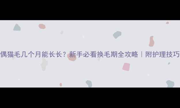图片 🐱布偶猫毛几个月能长长？新手必看换毛期全攻略｜附护理技巧🐾💡