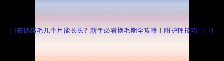 图片 🐱布偶猫毛几个月能长长？新手必看换毛期全攻略｜附护理技巧🐾💡1