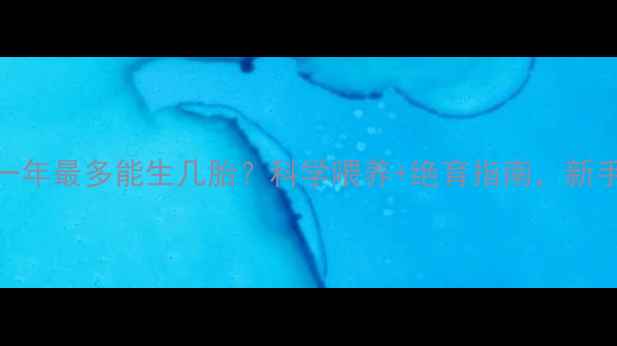 图片 🐱母猫一年最多能生几胎？科学喂养+绝育指南，新手必看！