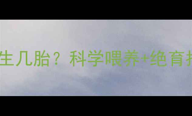 图片 🐱母猫一年最多能生几胎？科学喂养+绝育指南，新手必看！2