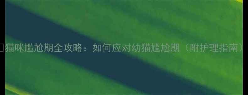 图片 🐱猫咪尴尬期全攻略：如何应对幼猫尴尬期（附护理指南）2