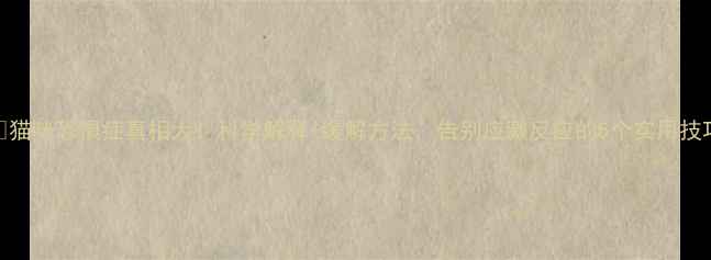 图片 🐱猫咪恐惧症真相大！科学解释+缓解方法，告别应激反应的5个实用技巧