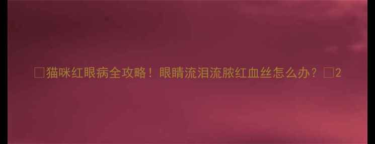 图片 🐱猫咪红眼病全攻略！眼睛流泪流脓红血丝怎么办？🔥2