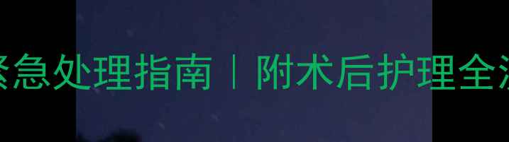 图片 🐱绝育后猫咪腹泻紧急处理指南｜附术后护理全流程+饮食禁忌清单1