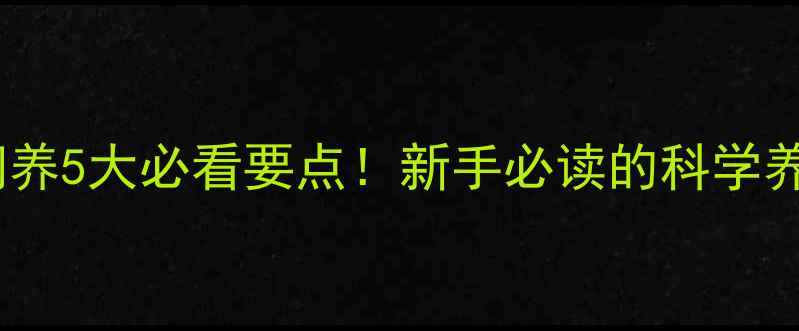 图片 🐶宠物狗饲养5大必看要点！新手必读的科学养宠指南🐾1