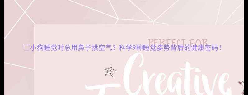 图片 🐶小狗睡觉时总用鼻子拱空气？科学9种睡觉姿势背后的健康密码！