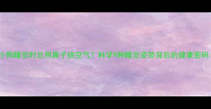 图片 🐶小狗睡觉时总用鼻子拱空气？科学9种睡觉姿势背后的健康密码！2
