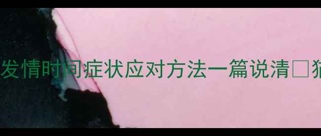 图片 🐾10个月公猫发情期超全指南｜发情时间症状应对方法一篇说清✨猫咪健康养猫经验新手养猫攻略2