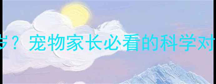 图片 🐾10个月小狗=人类几岁？宠物家长必看的科学对照表+养宠避坑指南🐶1