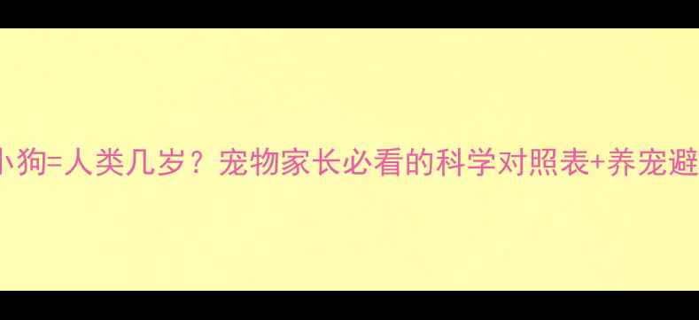 图片 🐾10个月小狗=人类几岁？宠物家长必看的科学对照表+养宠避坑指南🐶2