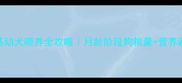 图片 🐾2个月柯基幼犬喂养全攻略｜月龄阶段狗粮量+营养避坑指南📌2