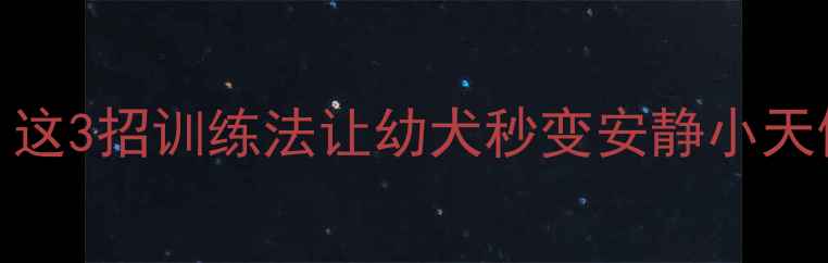 图片 🐾2个月泰迪晚上一直叫？这3招训练法让幼犬秒变安静小天使｜附睡眠训练全攻略🔥1