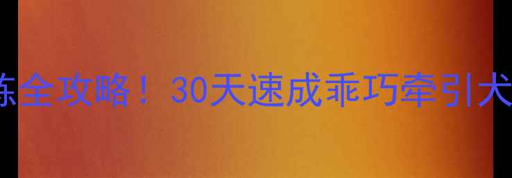 图片 🐾2岁金毛随行训练全攻略！30天速成乖巧牵引犬，附亲测有效方法