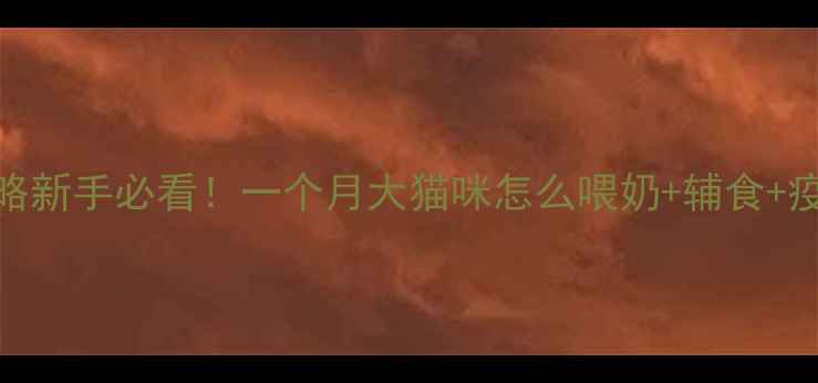 图片 🐾30天幼猫喂养全攻略新手必看！一个月大猫咪怎么喂奶+辅食+疫苗？附权威喂养表🍖