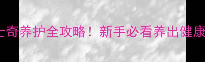 图片 🐾3个月哈士奇养护全攻略！新手必看养出健康活泼小钢炮
