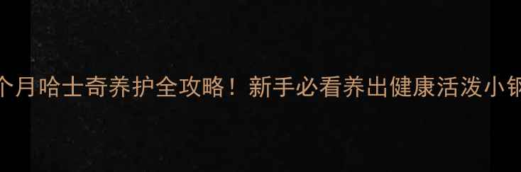 图片 🐾3个月哈士奇养护全攻略！新手必看养出健康活泼小钢炮2