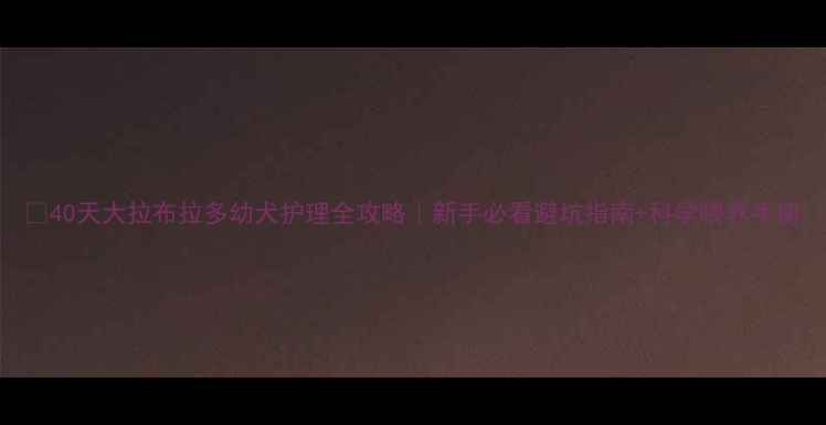 图片 🐾40天大拉布拉多幼犬护理全攻略｜新手必看避坑指南+科学喂养手册