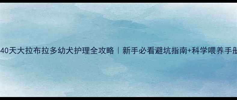 图片 🐾40天大拉布拉多幼犬护理全攻略｜新手必看避坑指南+科学喂养手册1