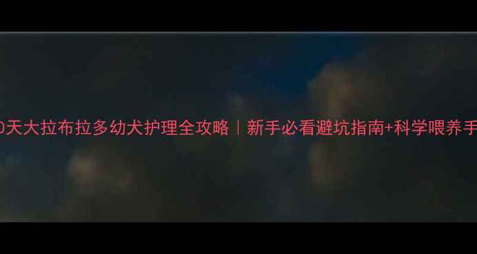 图片 🐾40天大拉布拉多幼犬护理全攻略｜新手必看避坑指南+科学喂养手册2