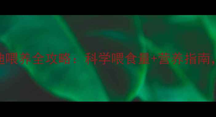 图片 🐾4个多月泰迪喂养全攻略：科学喂食量+营养指南，避开4大误区