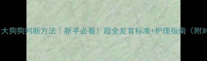 图片 🐾4个月大狗狗判断方法｜新手必看！超全发育标准+护理指南（附对比图）