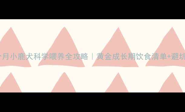 图片 🐾一个月小鹿犬科学喂养全攻略｜黄金成长期饮食清单+避坑指南1