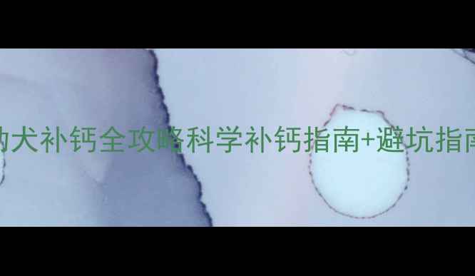 图片 🐾三个月大幼犬补钙全攻略科学补钙指南+避坑指南+推荐清单2