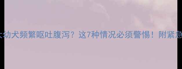 图片 🐾三个月大幼犬频繁呕吐腹泻？这7种情况必须警惕！附紧急处理指南1