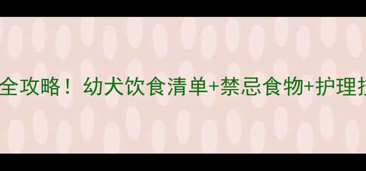 图片 🐾三个月大泰迪喂养全攻略！幼犬饮食清单+禁忌食物+护理技巧（附视频教程）2