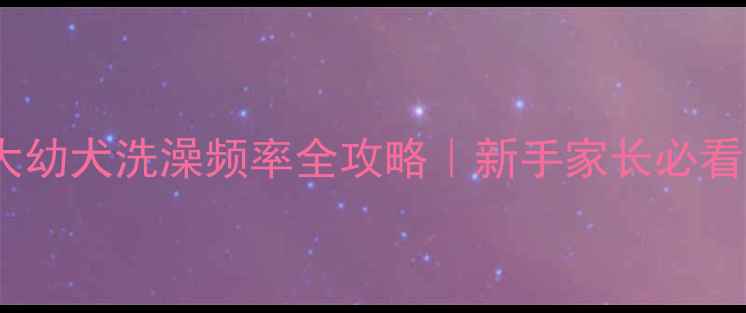 图片 🐾两个月大幼犬洗澡频率全攻略｜新手家长必看洗澡指南1