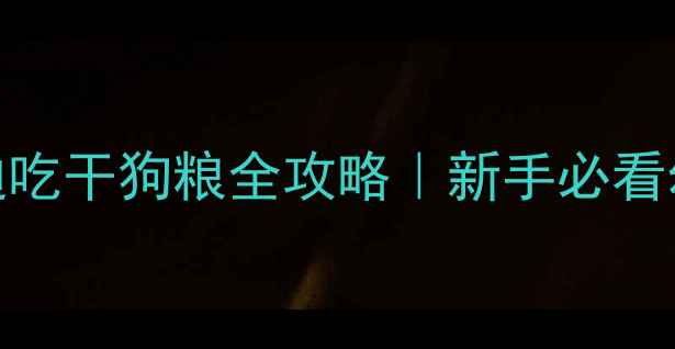 图片 🐾两个月大泰迪吃干狗粮全攻略｜新手必看幼犬喂养指南✨