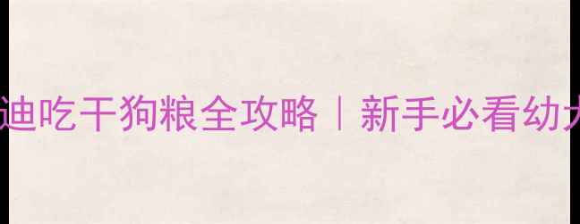 图片 🐾两个月大泰迪吃干狗粮全攻略｜新手必看幼犬喂养指南✨2