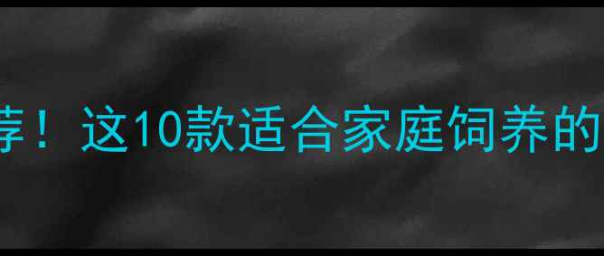 图片 🐾中国本土犬种推荐！这10款适合家庭饲养的宠物狗清单来啦🐶1